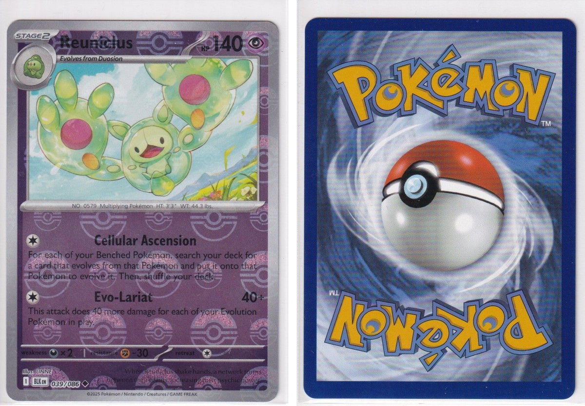 Front + Back scan