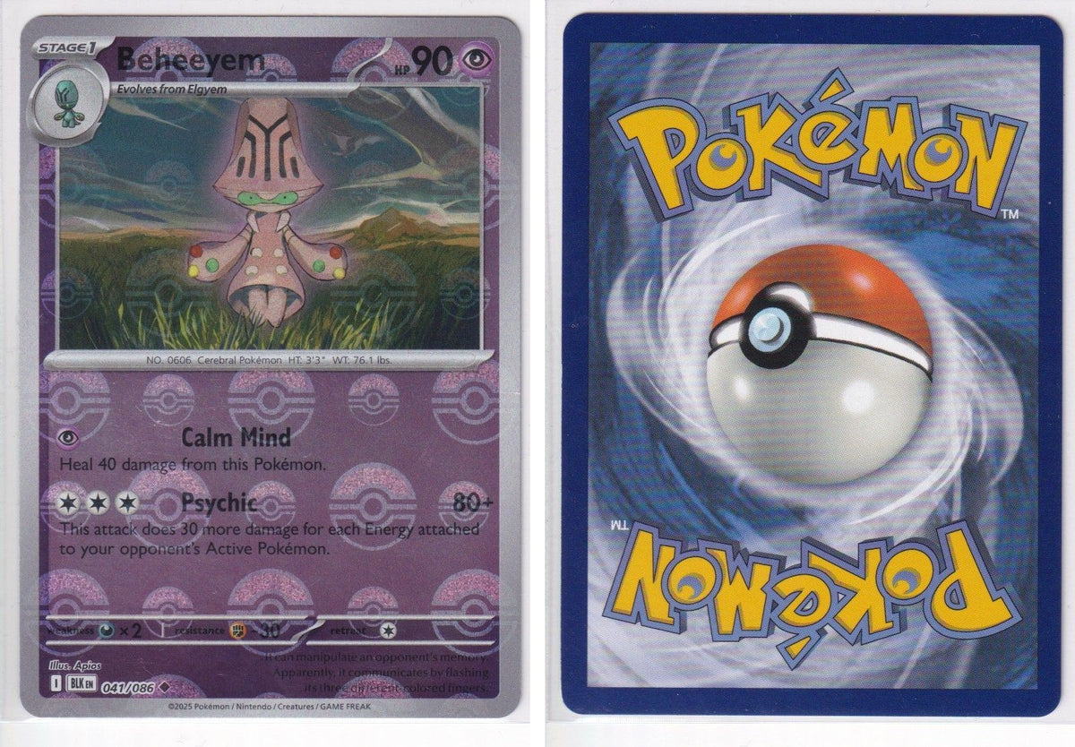 Front + Back scan