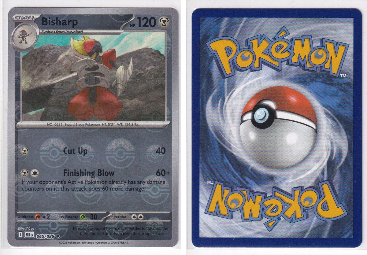 Front + Back scan