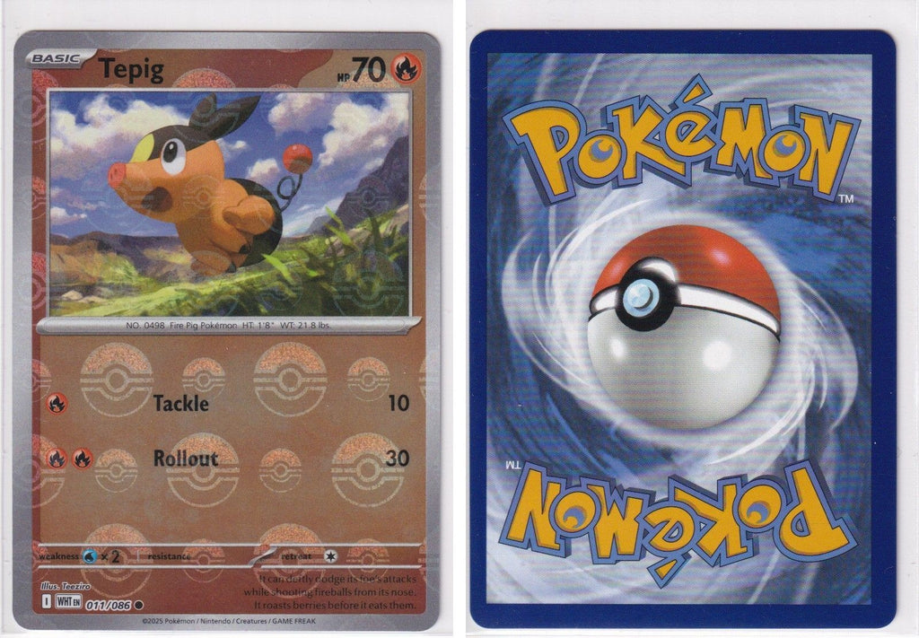 Front + Back scan