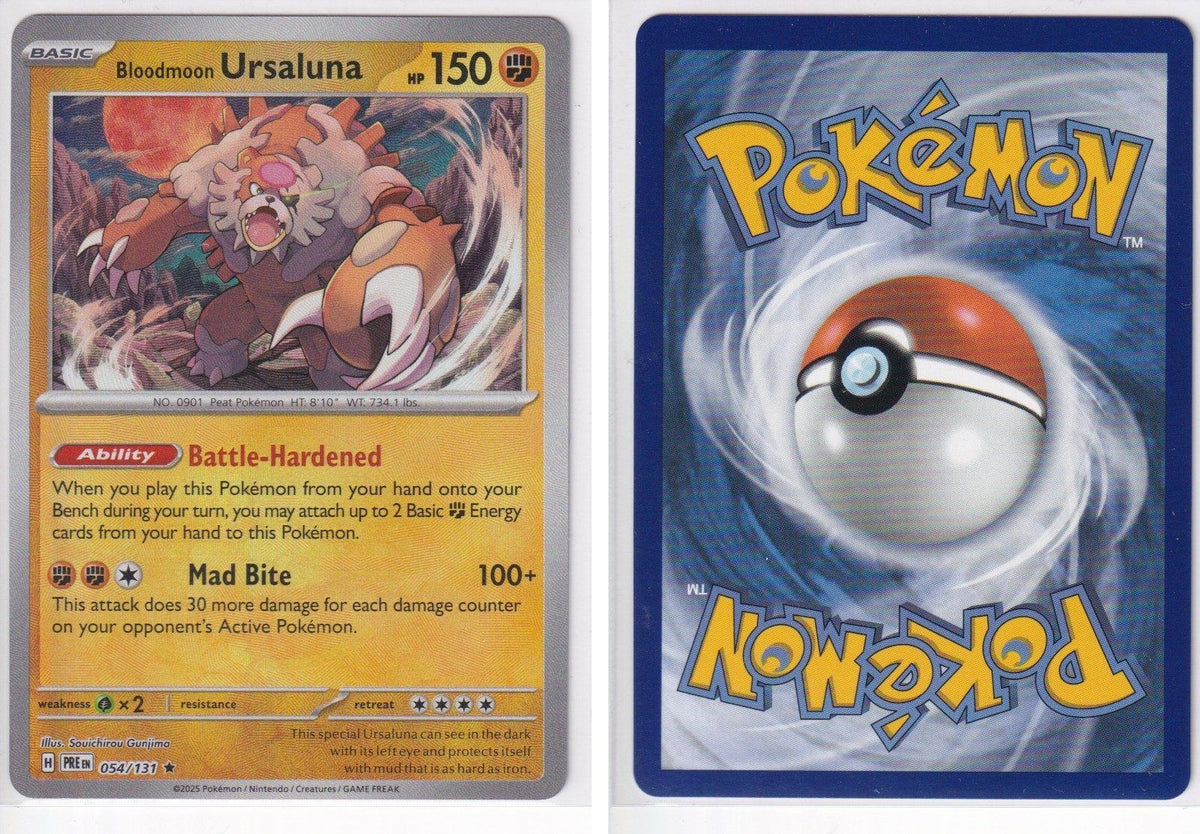 Front + Back scan