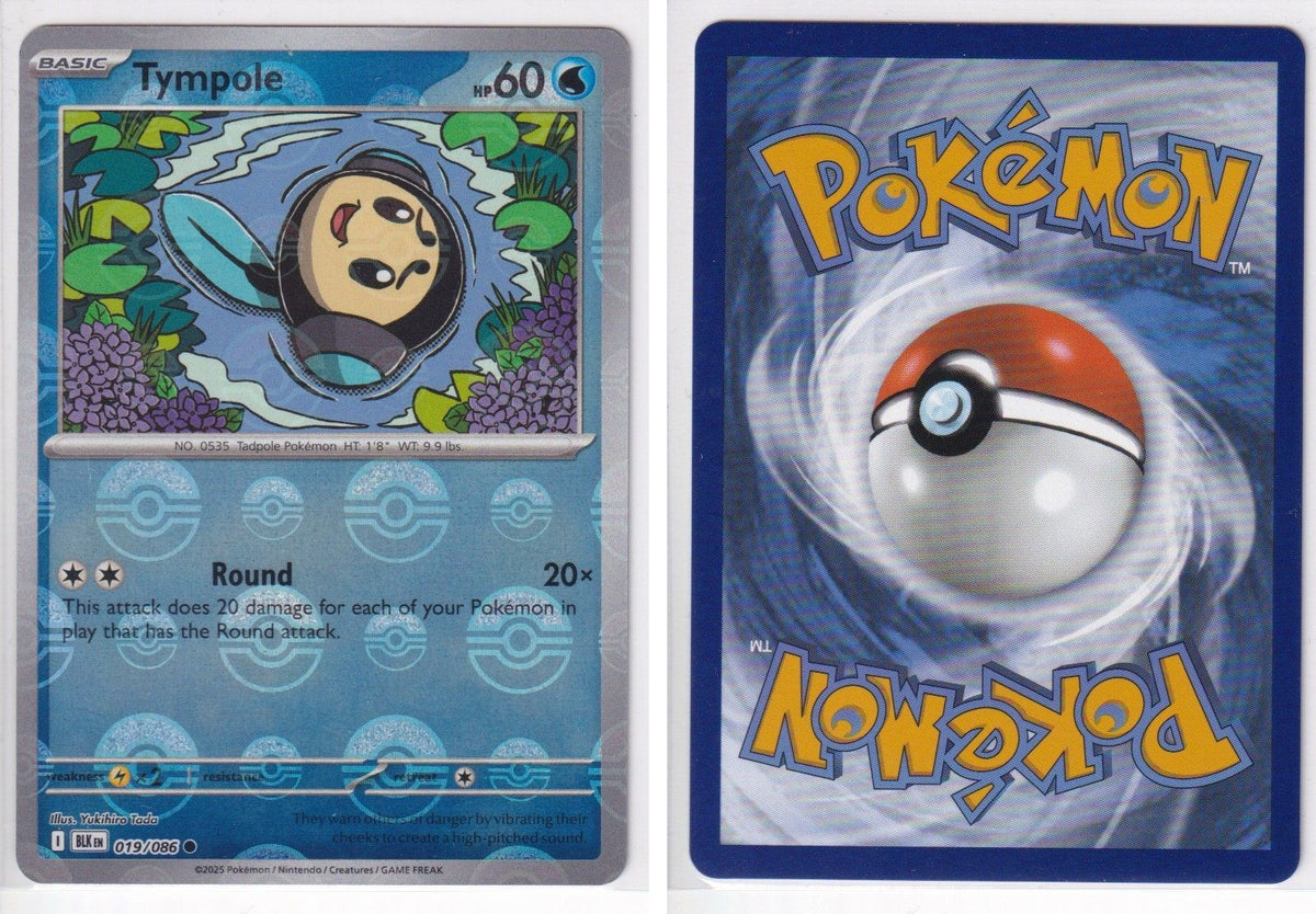 Front + Back scan