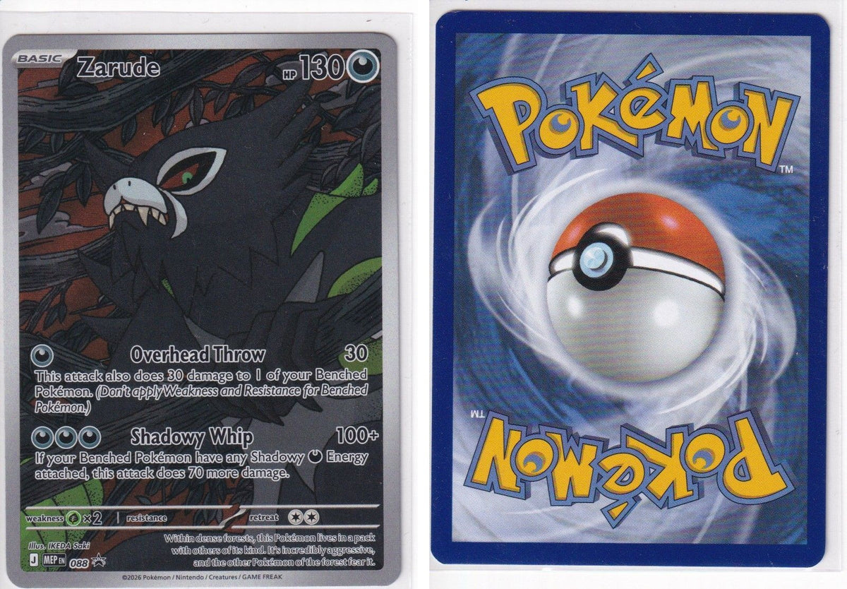 Front + Back scan
