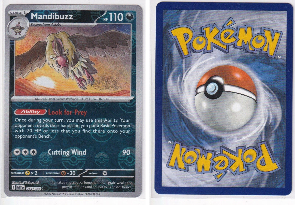 Front + Back scan