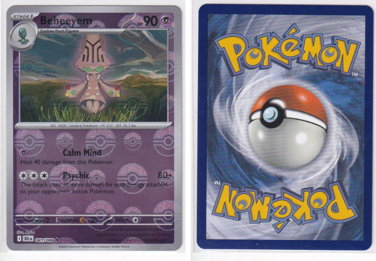 Front + Back scan