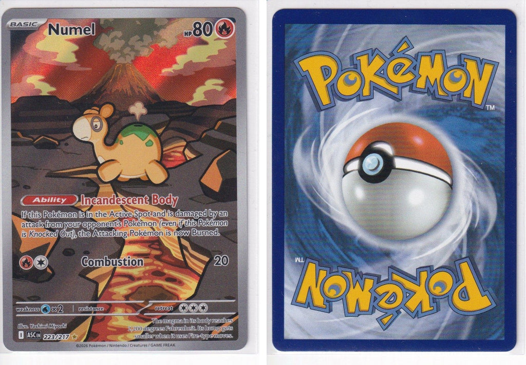 Front + Back scan