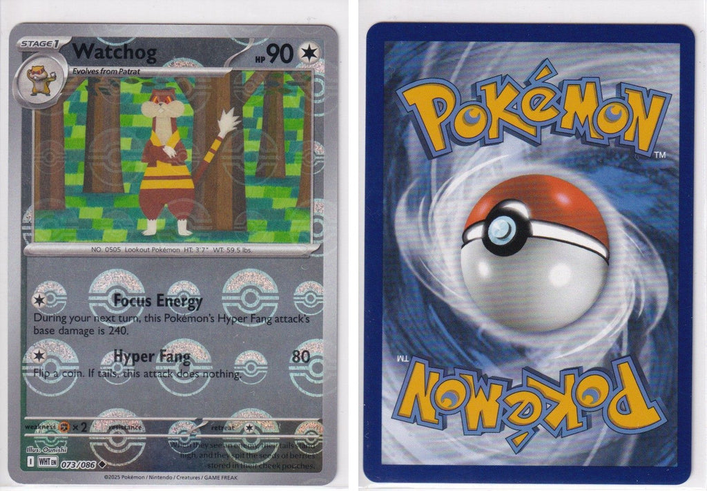 Front + Back scan