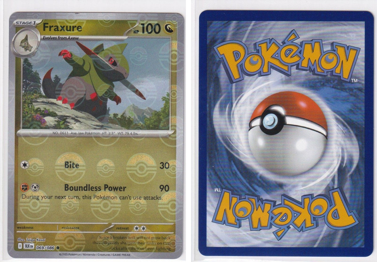 Front + Back scan