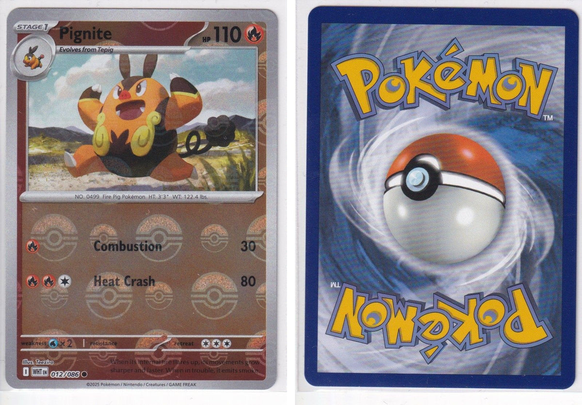 Front + Back scan