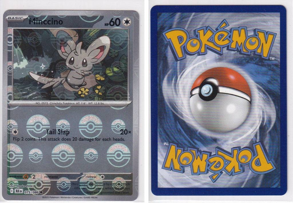 Front + Back scan