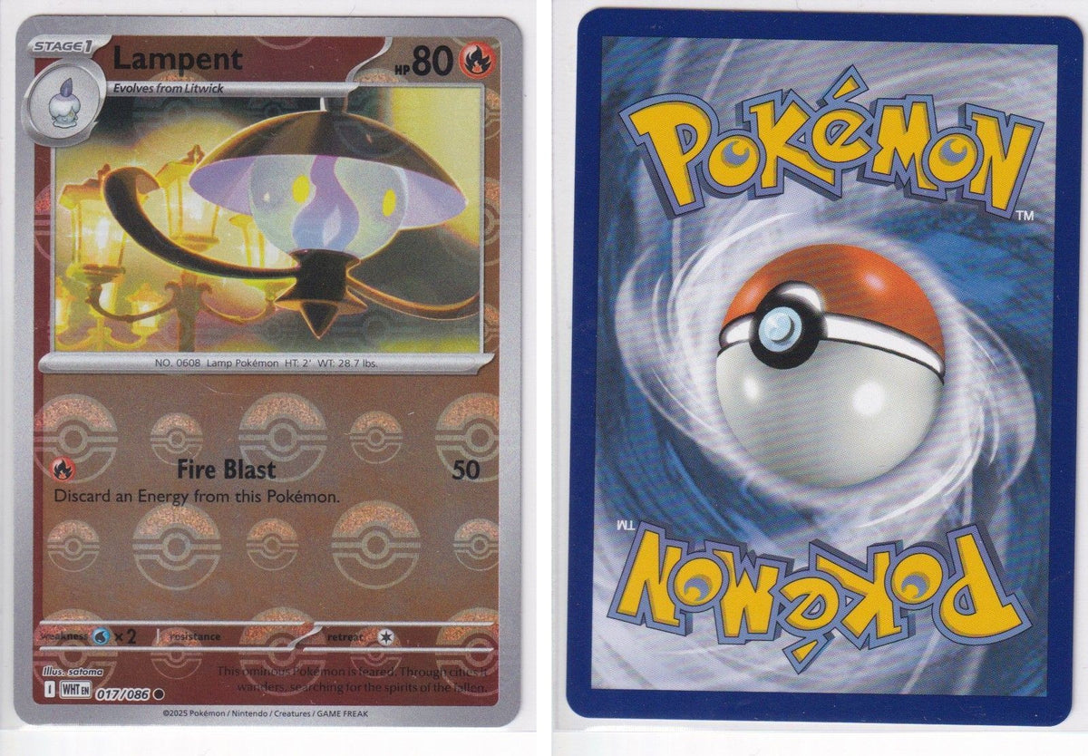 Front + Back scan