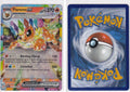 Front + Back scan