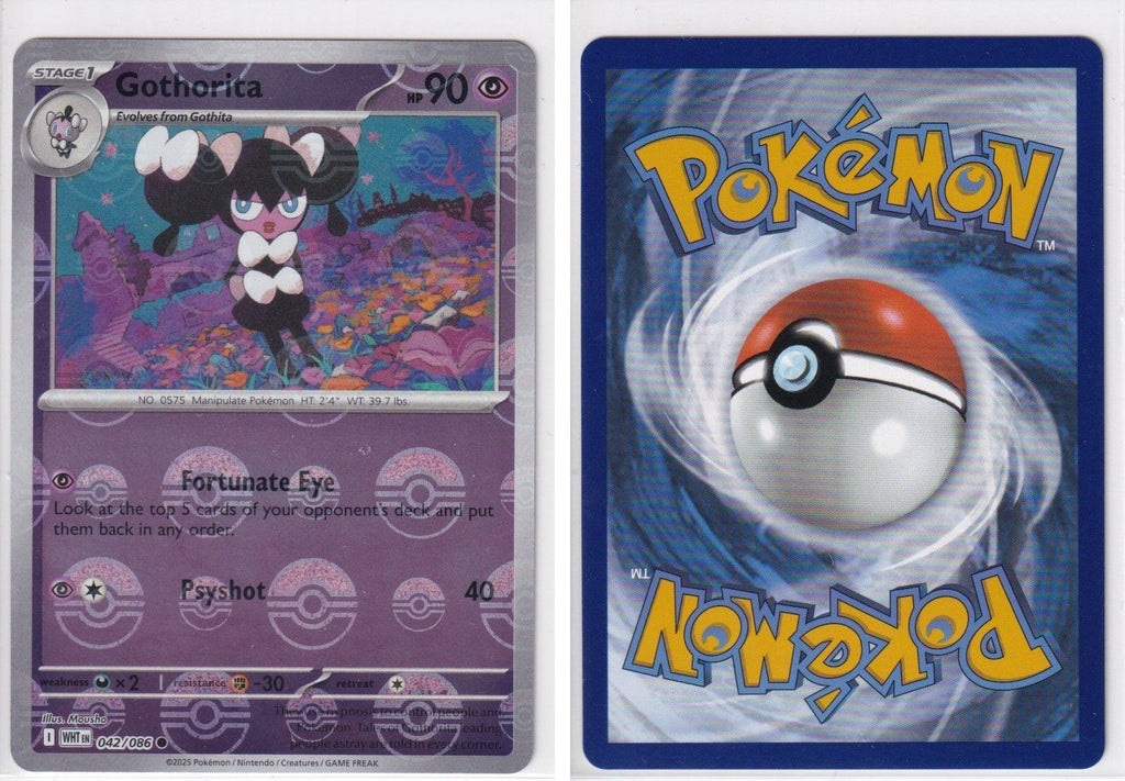 Front + Back scan