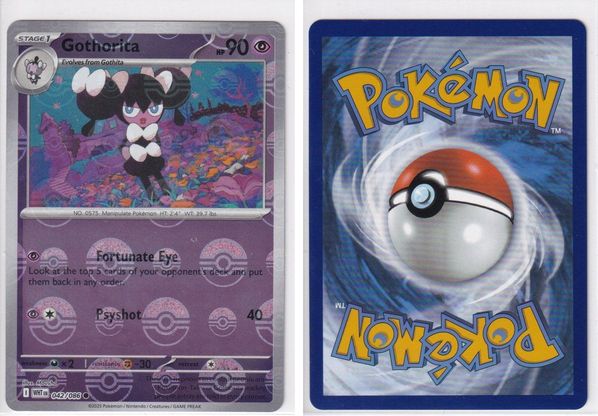Front + Back scan