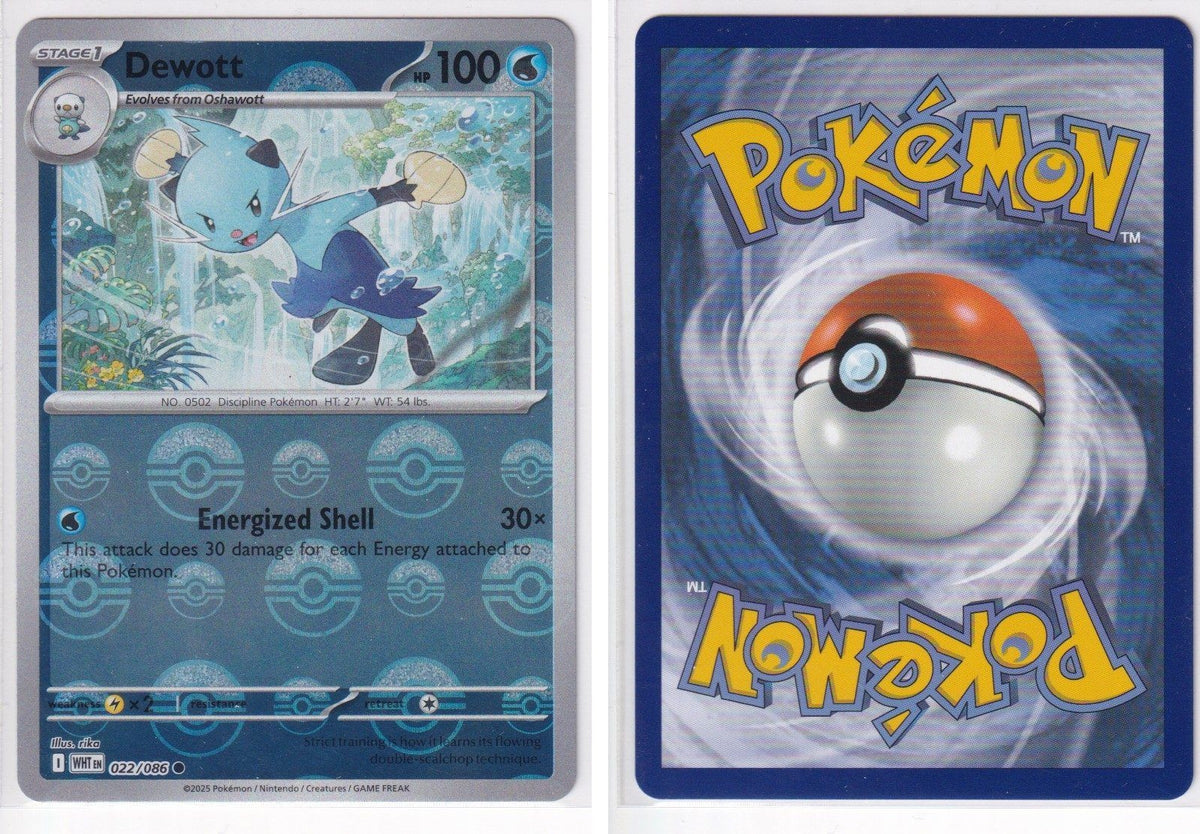 Front + Back scan
