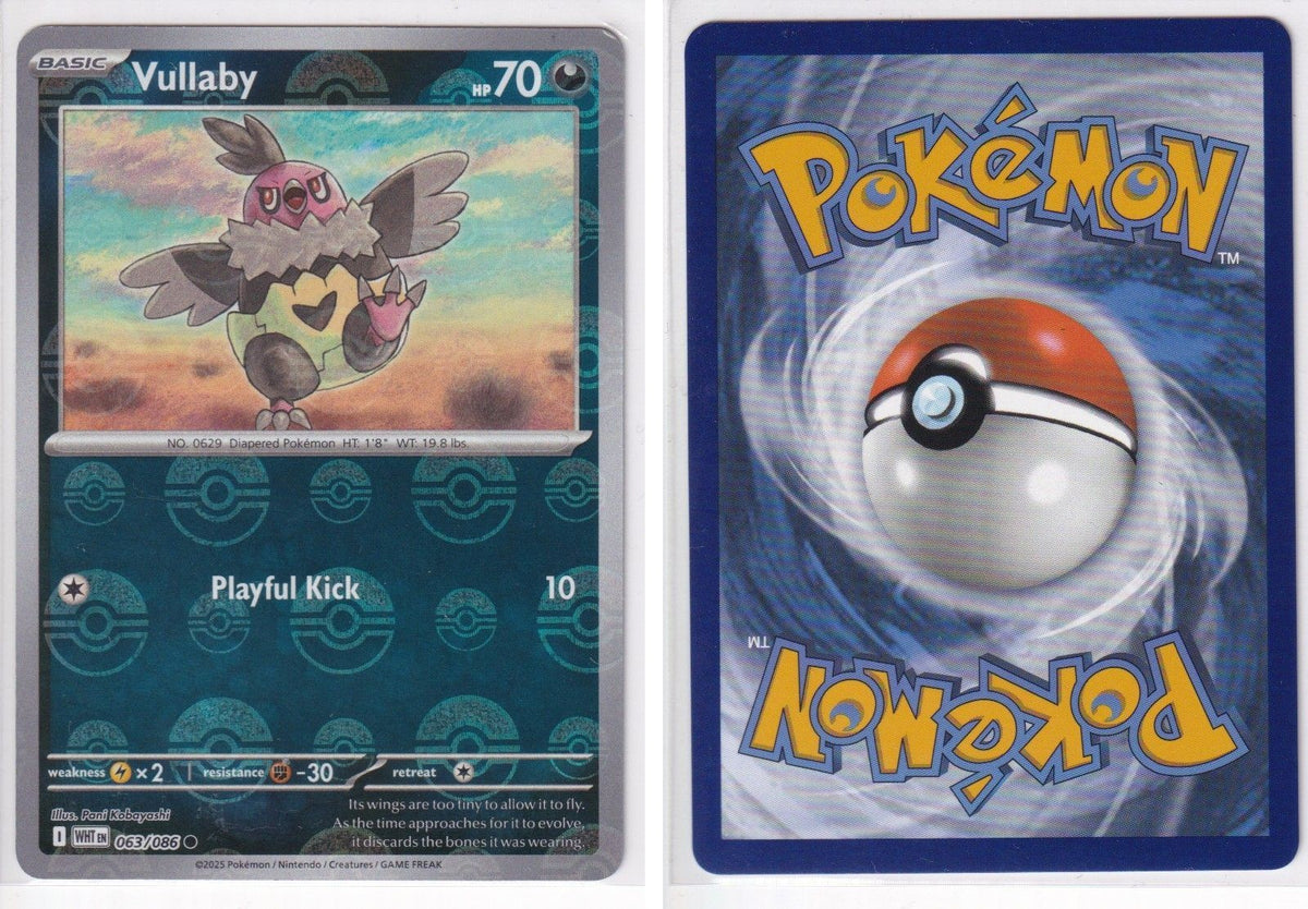 Front + Back scan