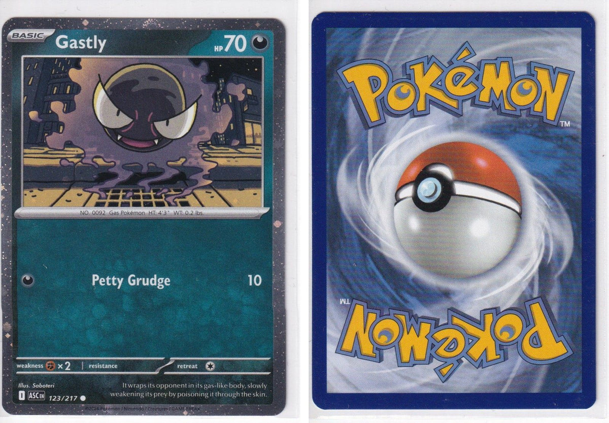 Front + Back scan
