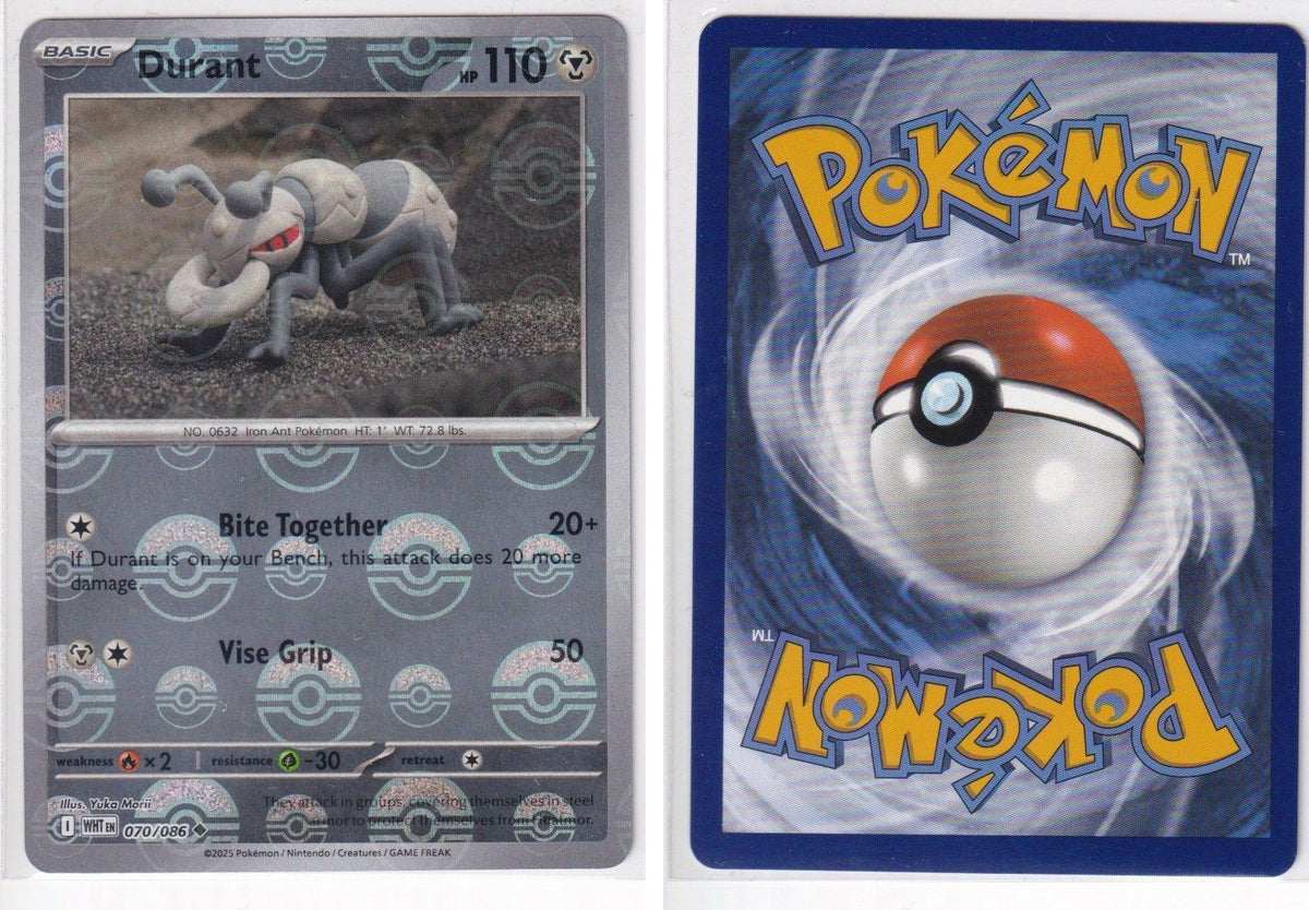 Front + Back scan