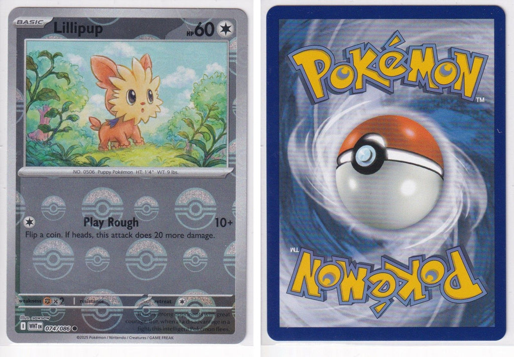 Front + Back scan