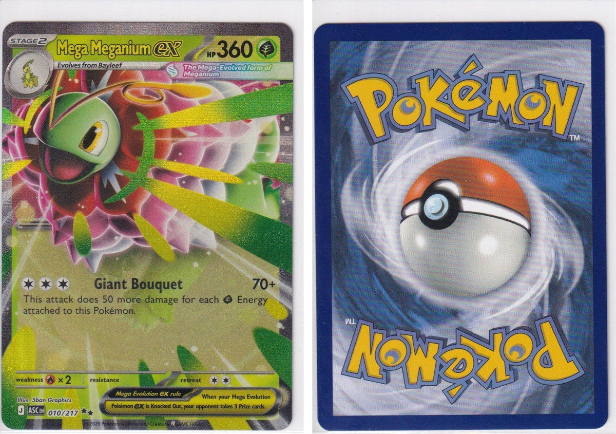 Front + Back scan