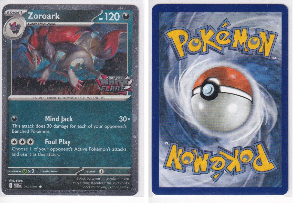 Front + Back scan