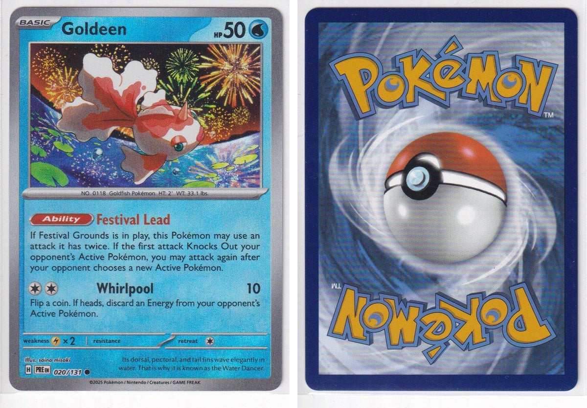 Front + Back scan