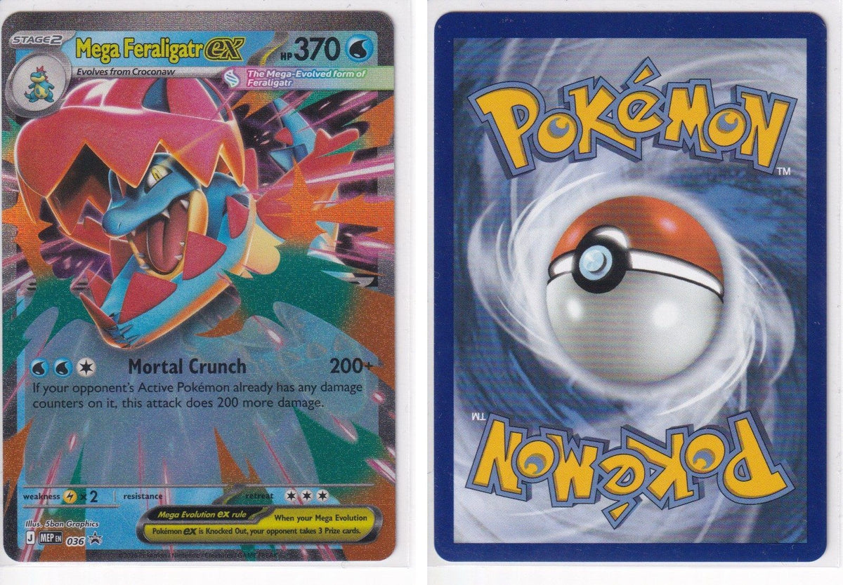 Front + Back scan