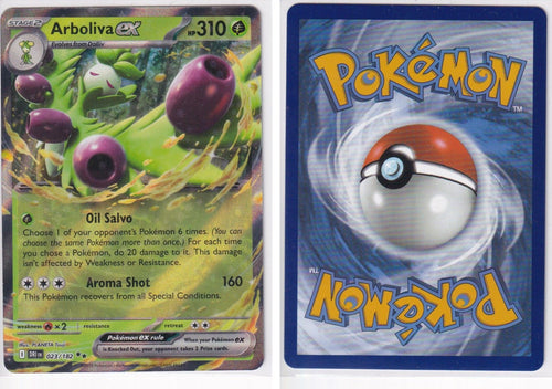 Front + Back scan
