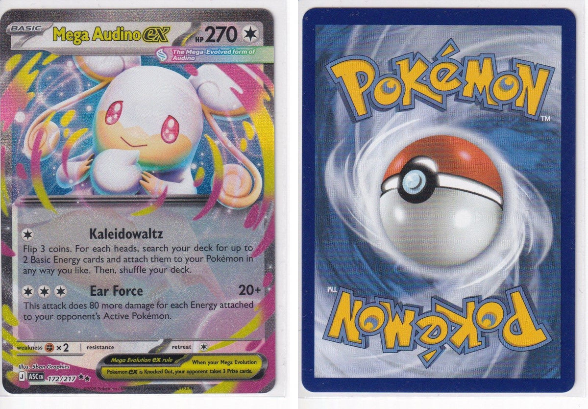 Front + Back scan