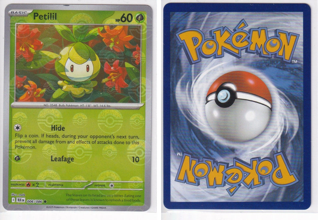 Front + Back scan