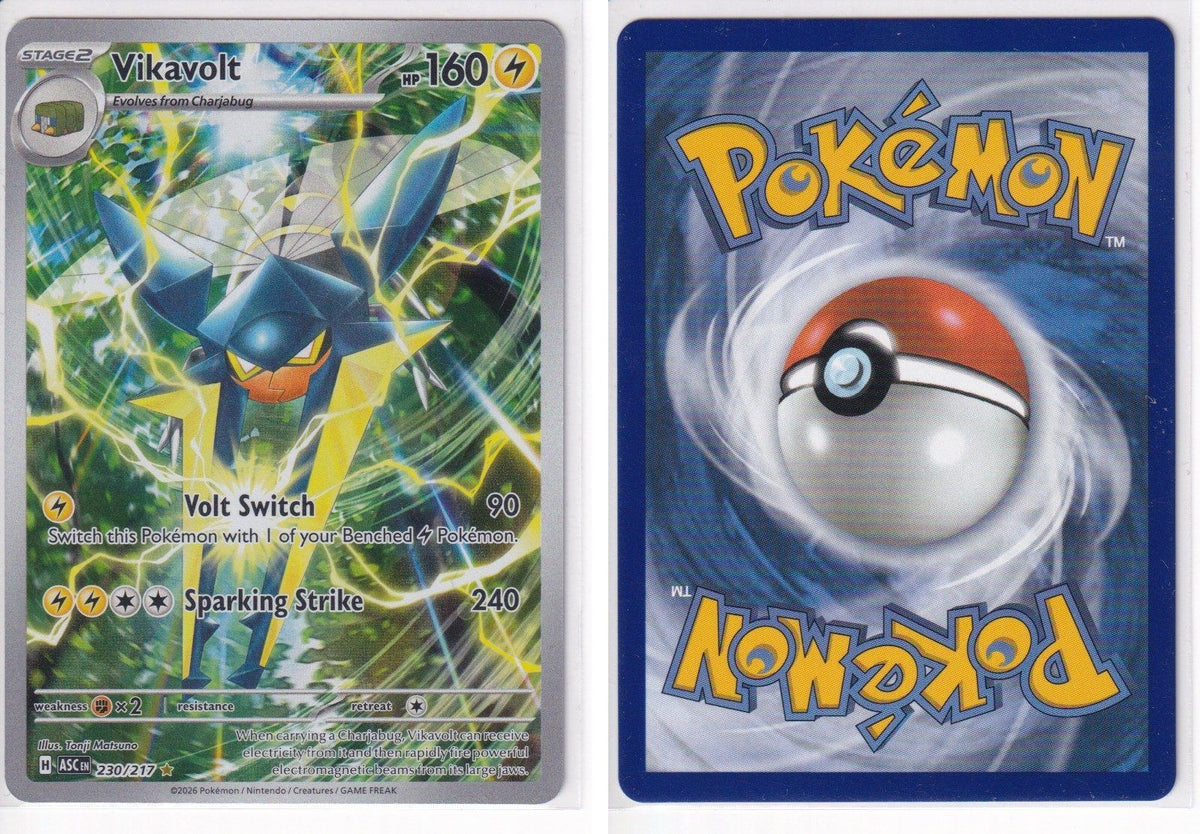 Front + Back scan