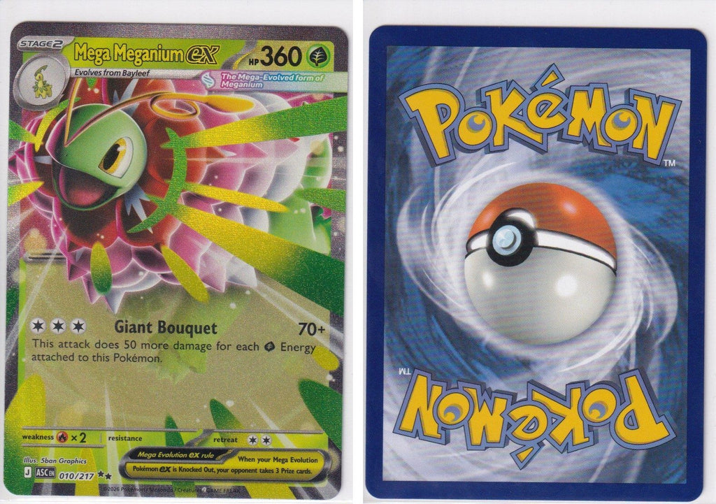 Front + Back scan