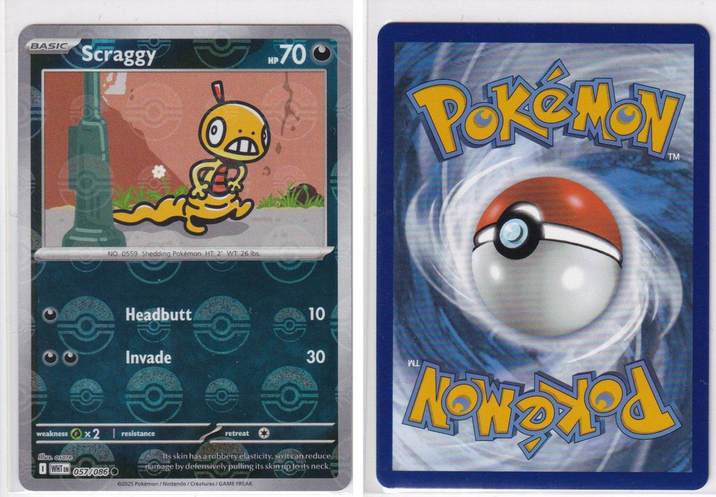 Front + Back scan