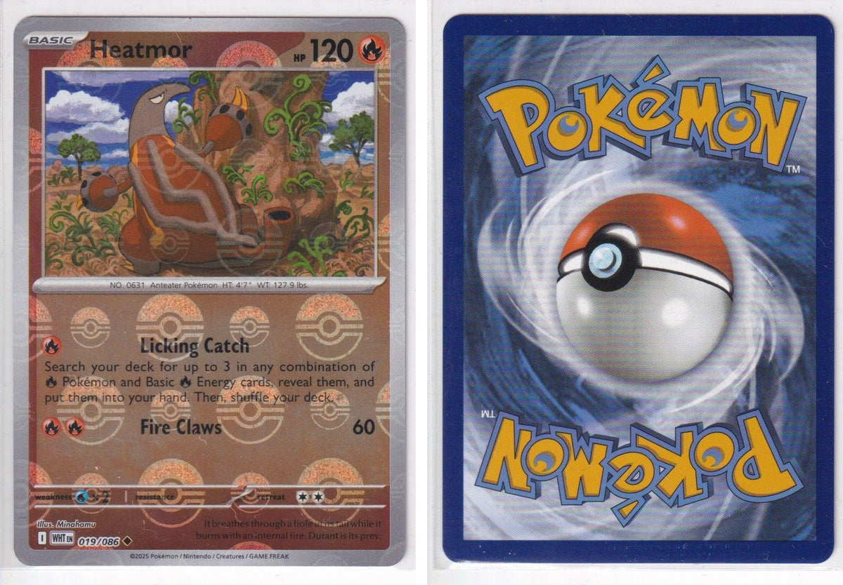 Front + Back scan