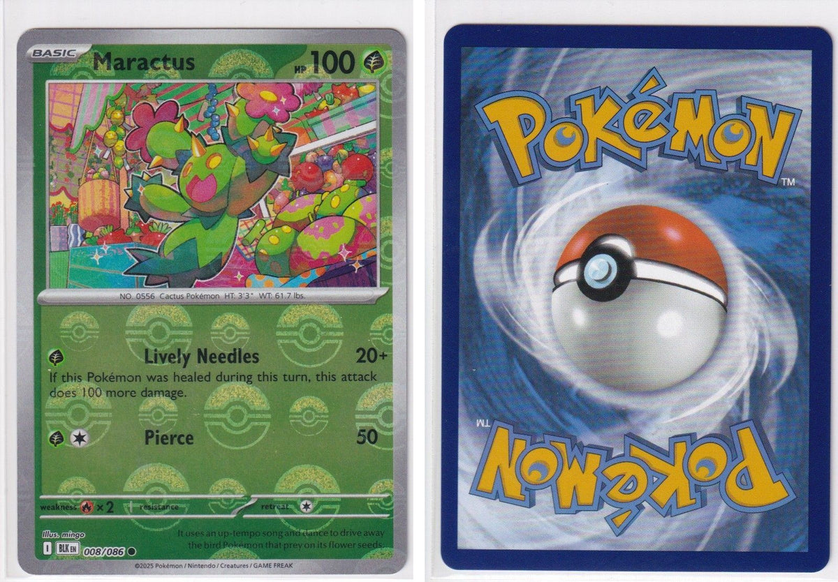 Front + Back scan